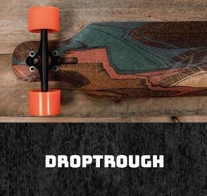 Dogtown-Skateshop Droptroug