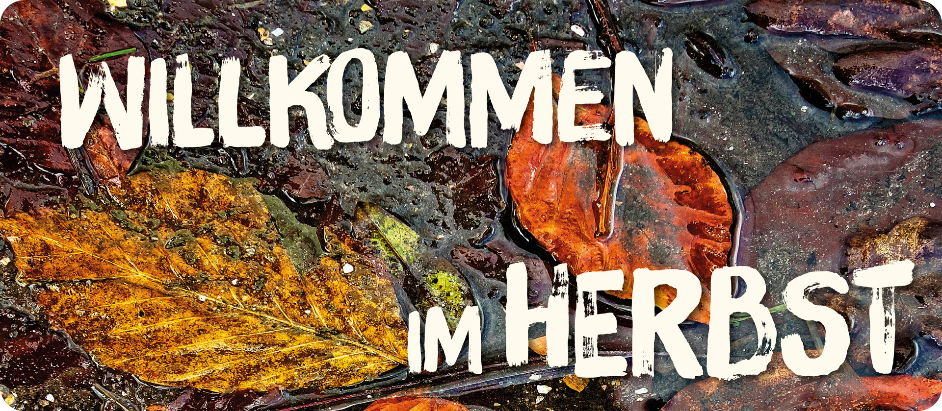 Willkommen im Herbst