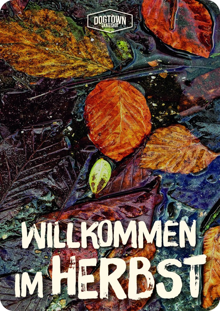 Willkommen im Herbst